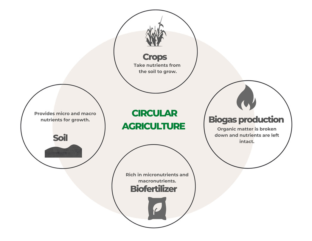 Agricultura circular