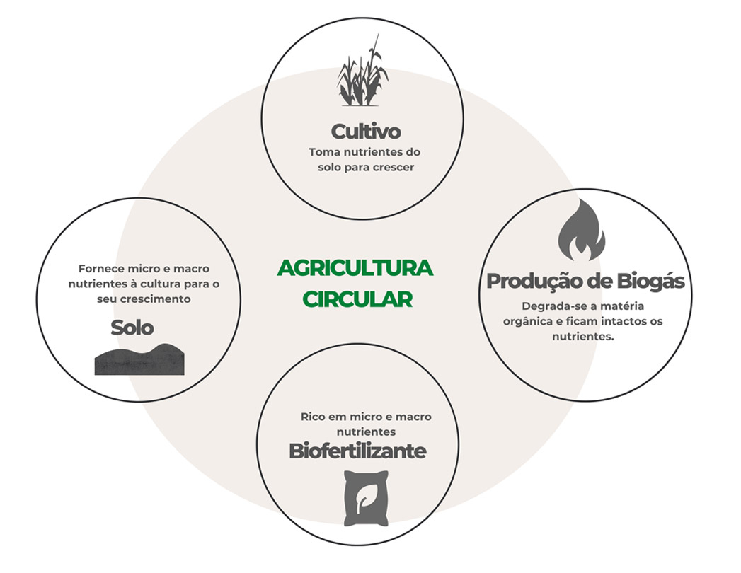Agricultura circular