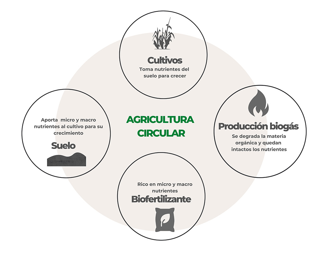 Agricultura circular