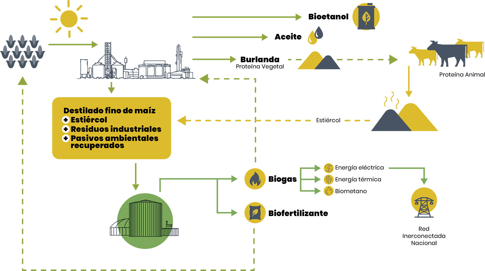 Plantas de bioetanol