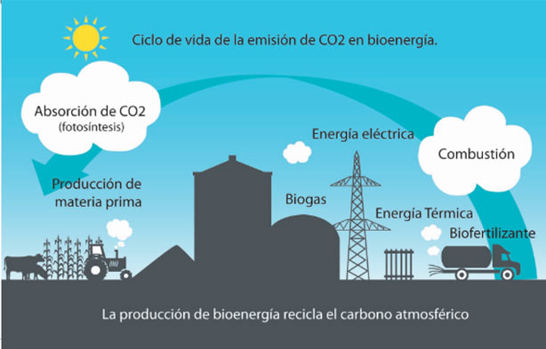 Medio ambiente